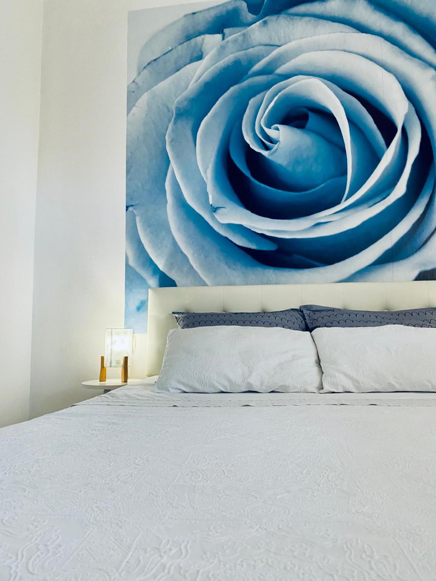 Luna Maris Apartments Zadar Eksteriør billede